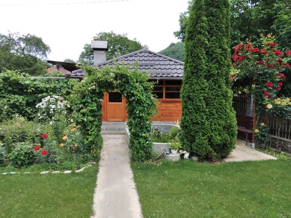 Casa Fetic Διαμέρισμα Nehoiu Εξωτερικό φωτογραφία