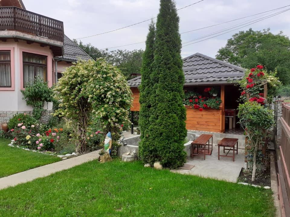 Casa Fetic Διαμέρισμα Nehoiu Εξωτερικό φωτογραφία