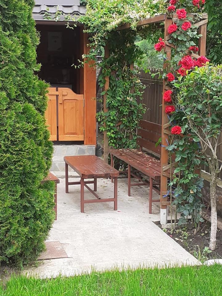 Casa Fetic Διαμέρισμα Nehoiu Εξωτερικό φωτογραφία