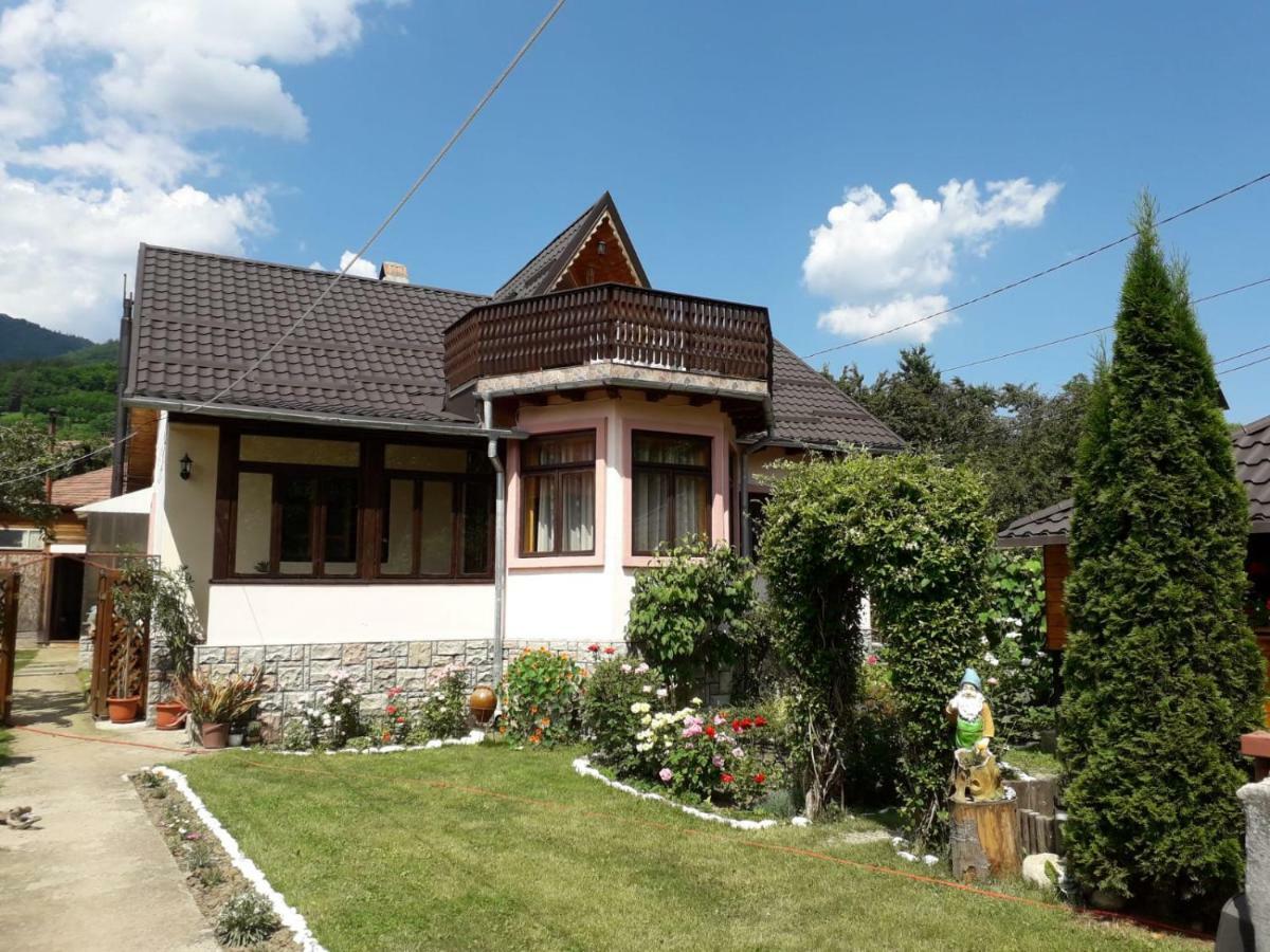 Casa Fetic Διαμέρισμα Nehoiu Εξωτερικό φωτογραφία