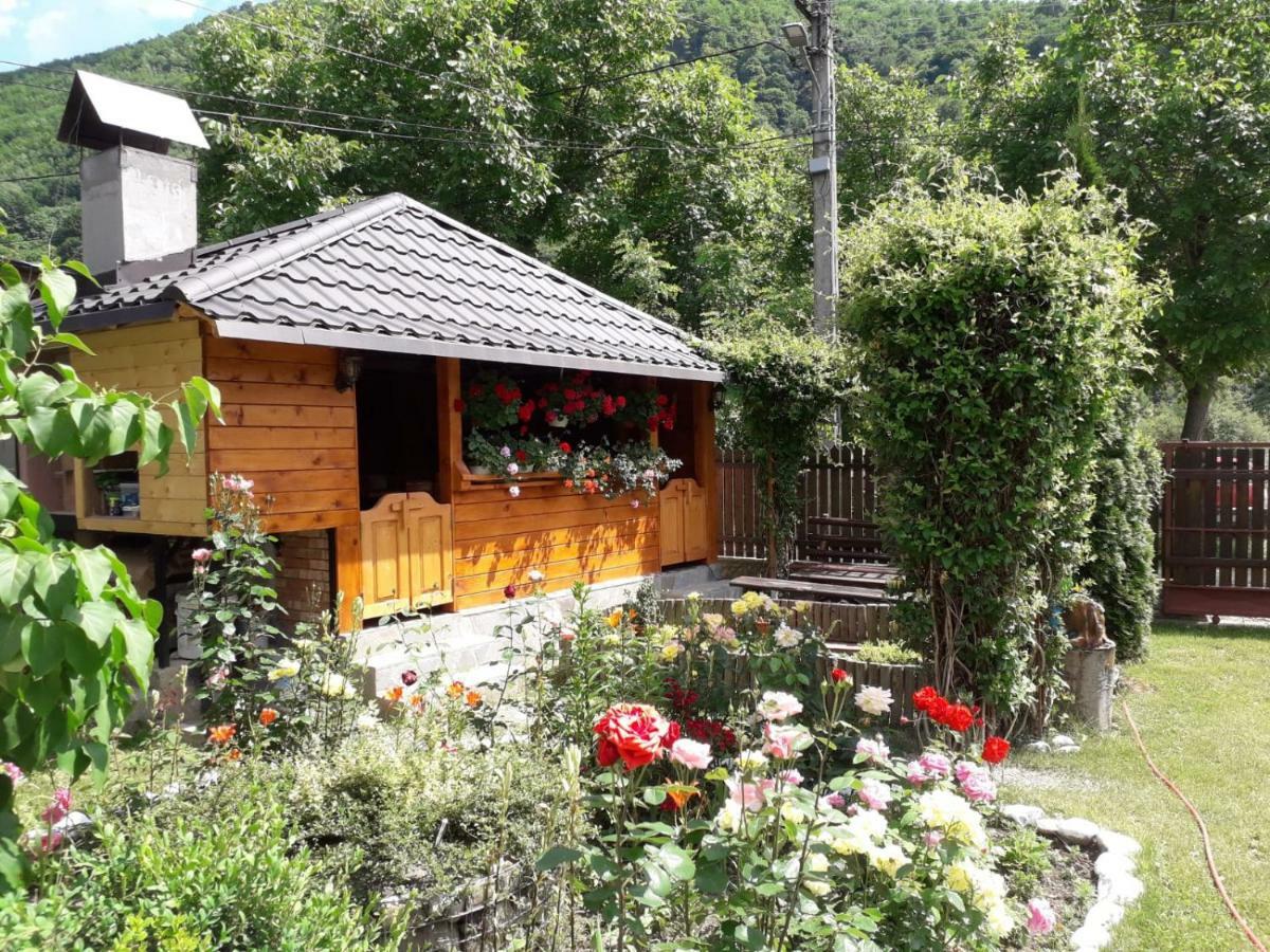 Casa Fetic Διαμέρισμα Nehoiu Εξωτερικό φωτογραφία