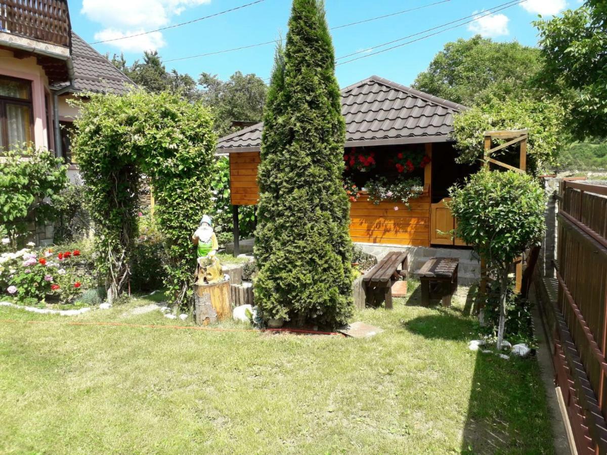 Casa Fetic Διαμέρισμα Nehoiu Εξωτερικό φωτογραφία