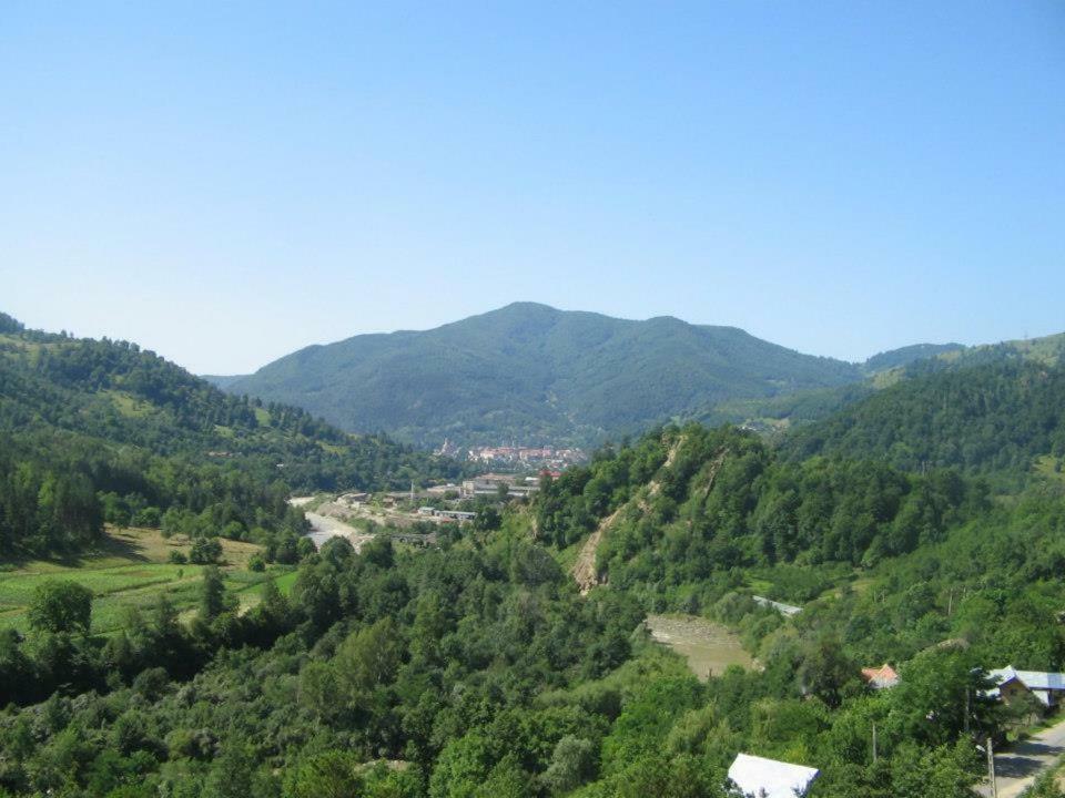 Casa Fetic Διαμέρισμα Nehoiu Εξωτερικό φωτογραφία
