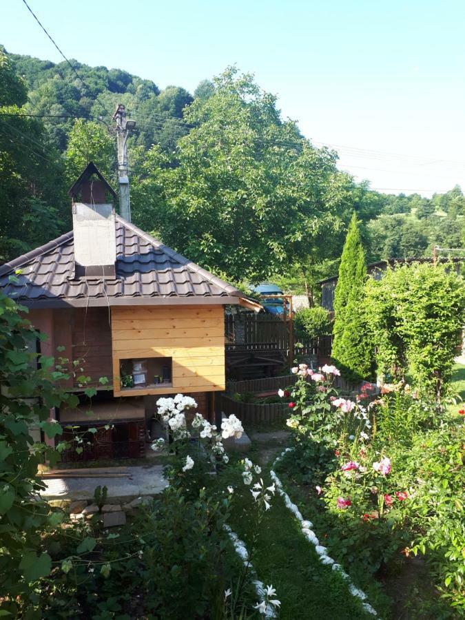 Casa Fetic Διαμέρισμα Nehoiu Εξωτερικό φωτογραφία