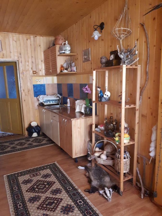 Casa Fetic Διαμέρισμα Nehoiu Εξωτερικό φωτογραφία