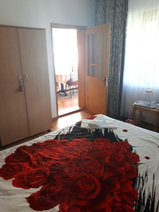 Casa Fetic Διαμέρισμα Nehoiu Εξωτερικό φωτογραφία