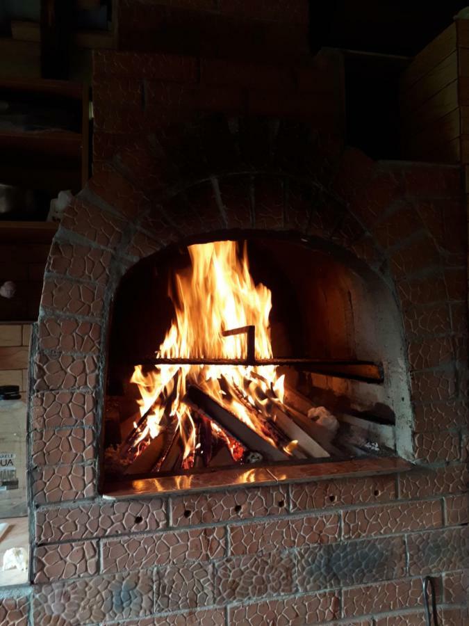 Casa Fetic Διαμέρισμα Nehoiu Εξωτερικό φωτογραφία