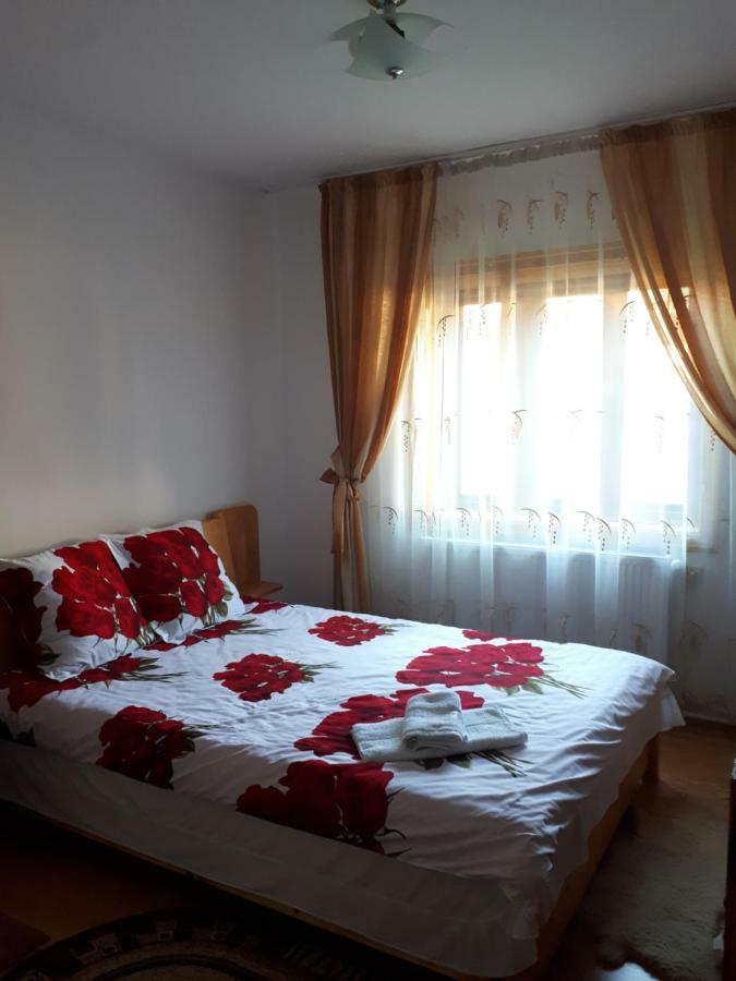 Casa Fetic Διαμέρισμα Nehoiu Εξωτερικό φωτογραφία