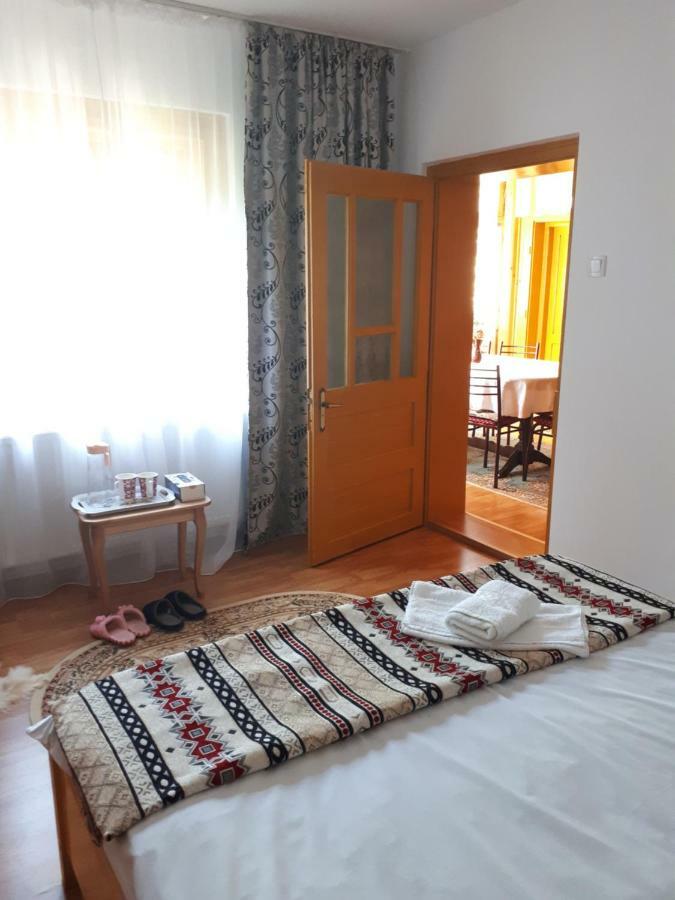 Casa Fetic Διαμέρισμα Nehoiu Εξωτερικό φωτογραφία